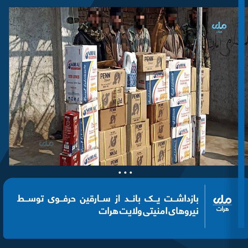 **بازداشت یک باند از سارقین حرفوی …