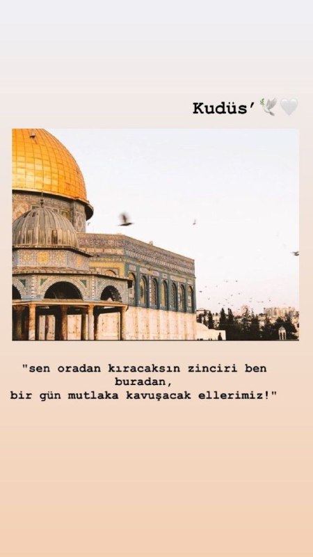 Ruh Hali Alıntıları🪶🇵🇸