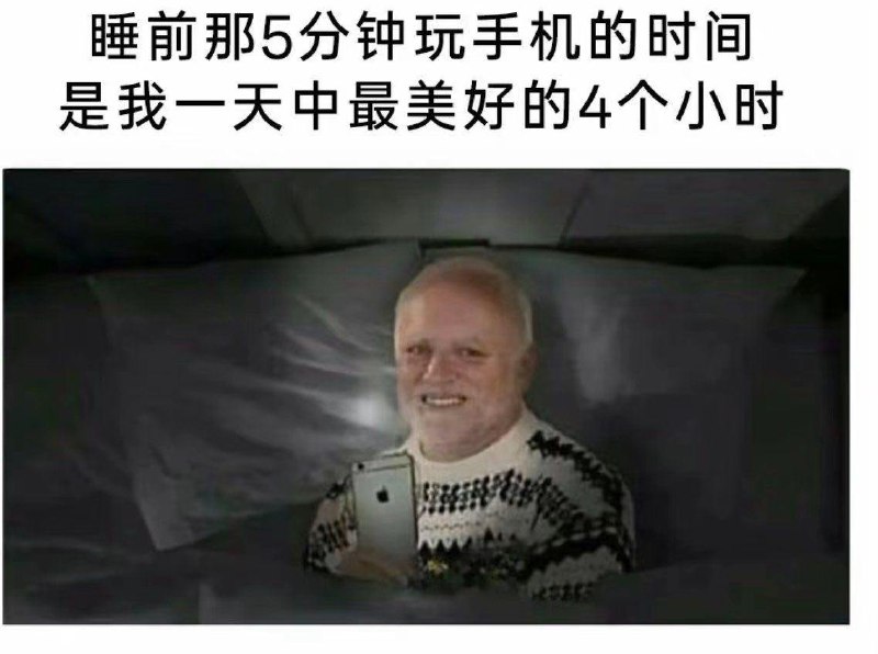 如何与沙雕相处