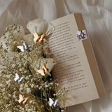 ***〰*****بەدوای جوانترین گروپی*****〰***
