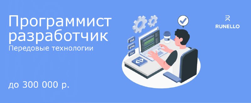 **Программист разработчик**