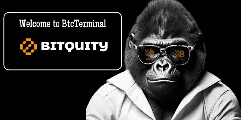 **CONFIRMED:**B**itquity (former ApeSwap) will be the …