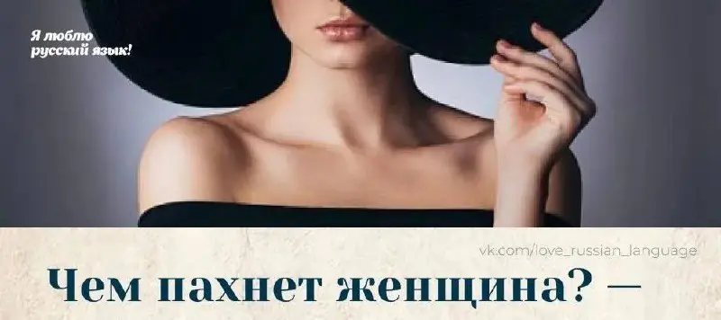 Такой спор зашёл однажды в писательской …