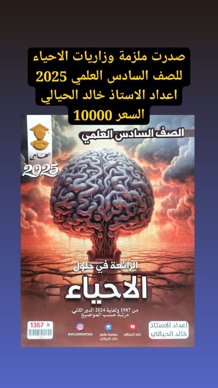 مكتبة الرصافي