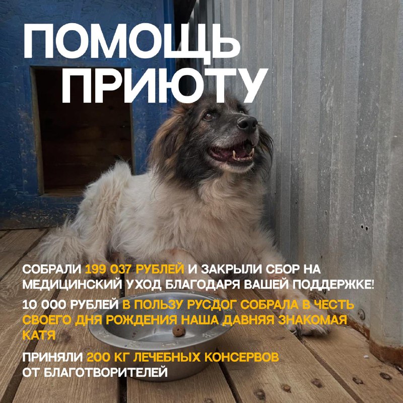 rus.dog