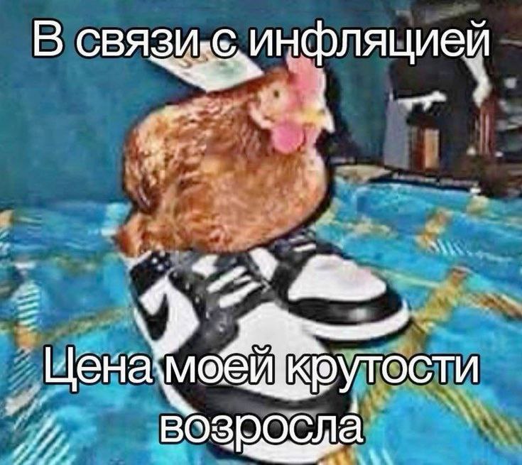 ***🎾*** ***🎾******🎾******🎾******🎾******🎾*** ***🎾******🎾******🎾***