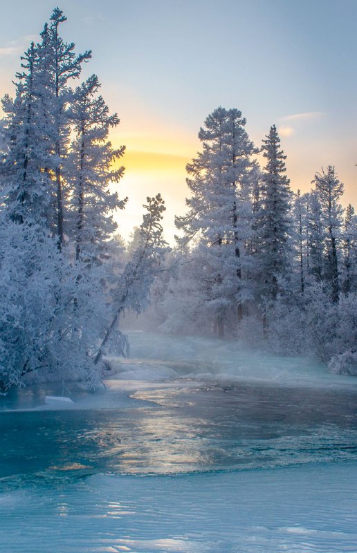 **С первым днем зимы!** ***❄️***