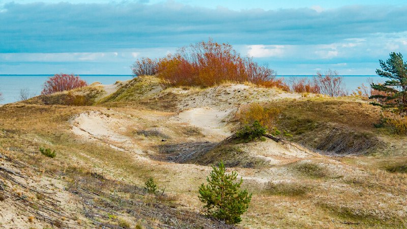 È sul Baltico, in un ecosistema …