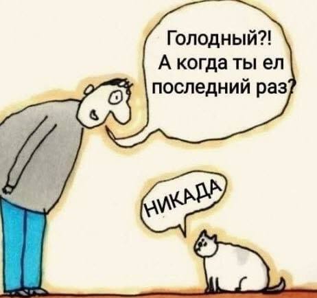 Вчера елочки, сегодня котики! ***🐈***