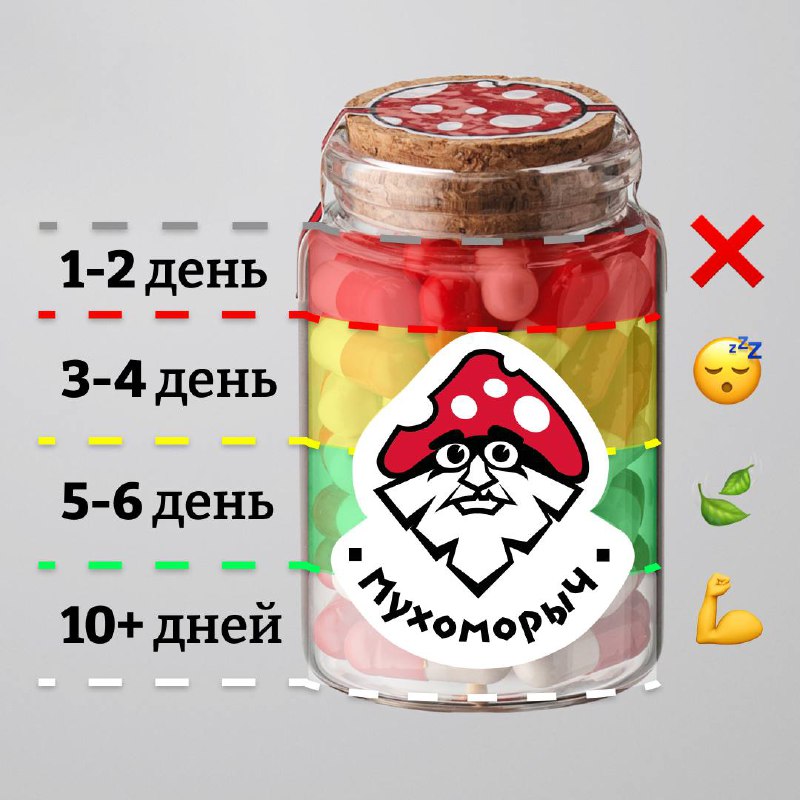 **Микродозинг мухоморов***⚡️******🍄*****