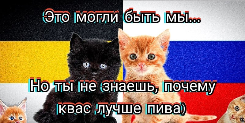 Русские коты | Z