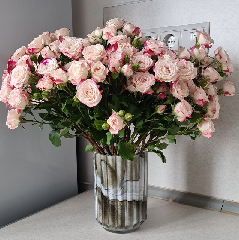 ***💐******💐******💐***