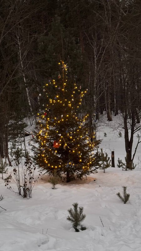 С наступающим, мои дорогие!