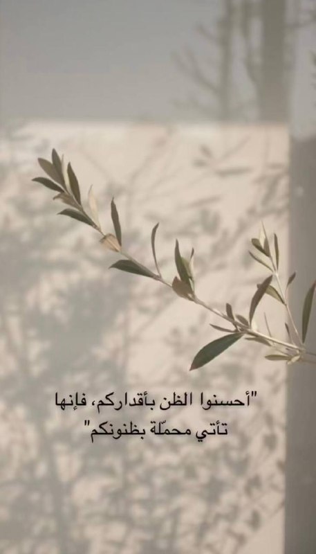 🌹 روائع Rwa33 ✨
