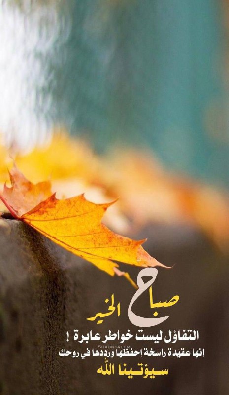 🌹 روائع Rwa33 ✨