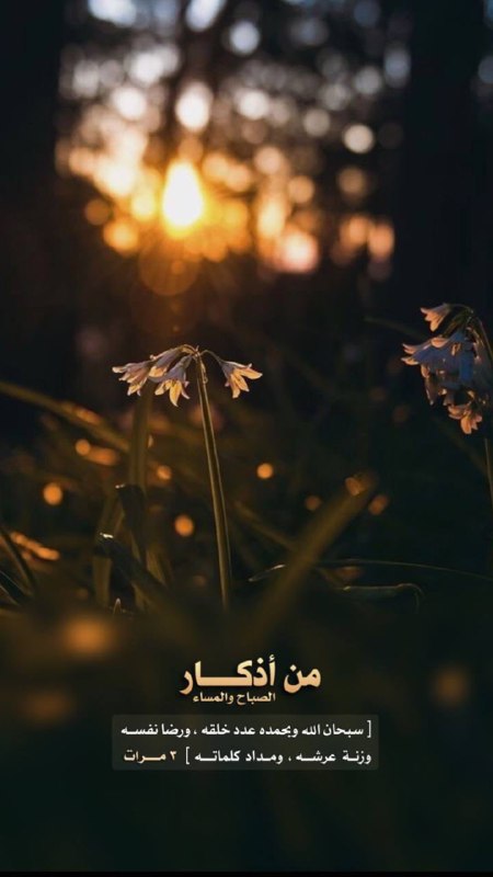 🌹 روائع Rwa33 ✨