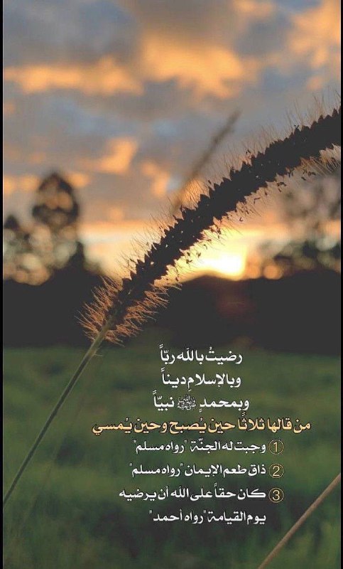 🌹 روائع Rwa33 ✨