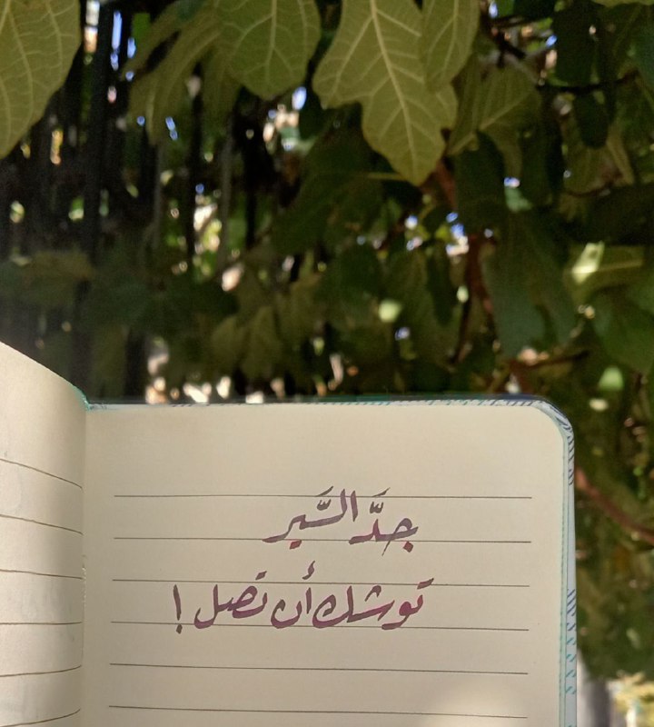 "السّعيُ يضمنُ حتميةَ عدمِ النّدمِ"