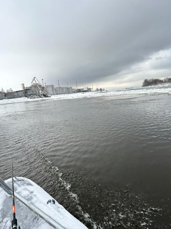 Рыболовная сводка Спб