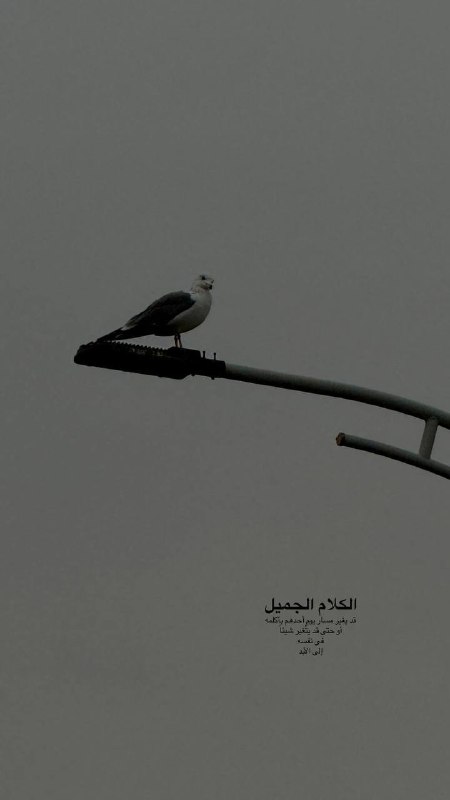 ستوريات انستا ( ⃝?ⵙ⃘⃝⃘⃝⃘⃝