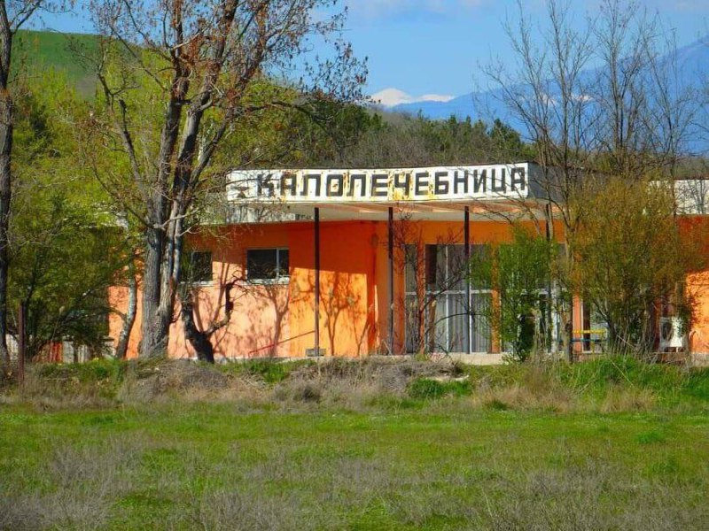 Гуляшь Язык