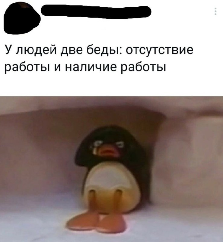 [Приколы***😂***](https://t.me/Rzhaka_smeh)