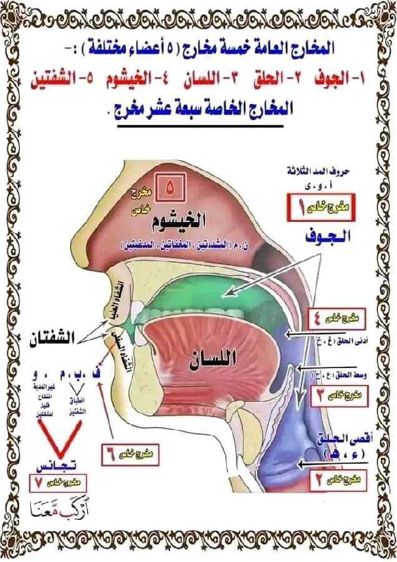 فهم المصطفون الأخيار