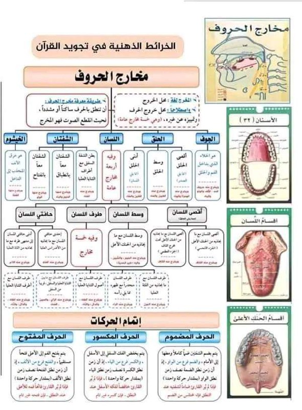فهم المصطفون الأخيار