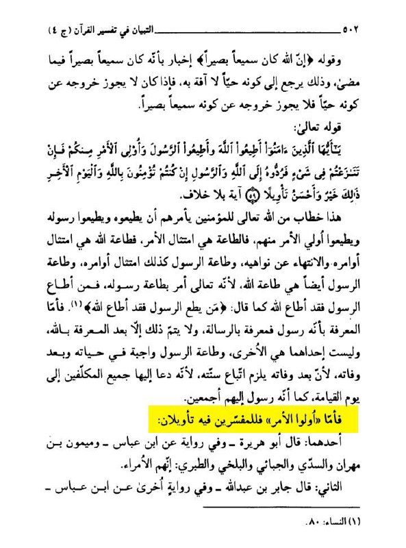 المجهر الشيعي