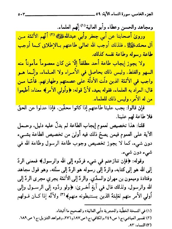 المجهر الشيعي