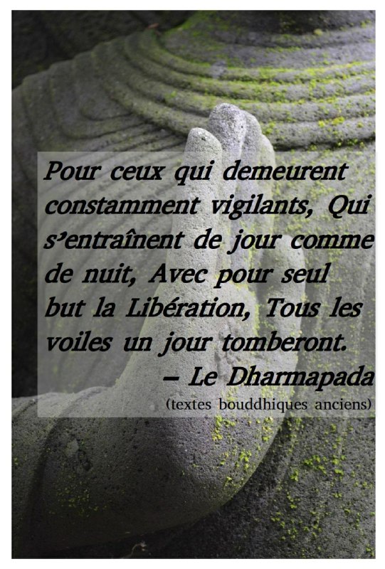 Le [#Dhammapada](?q=%23Dhammapada)