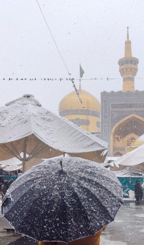 وزِيارة عَلِي بن مُوسَى الرِضَا فوفق …