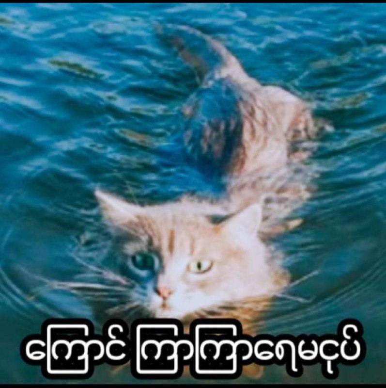 မြန်မာစကားပုံတွေ ထဲက