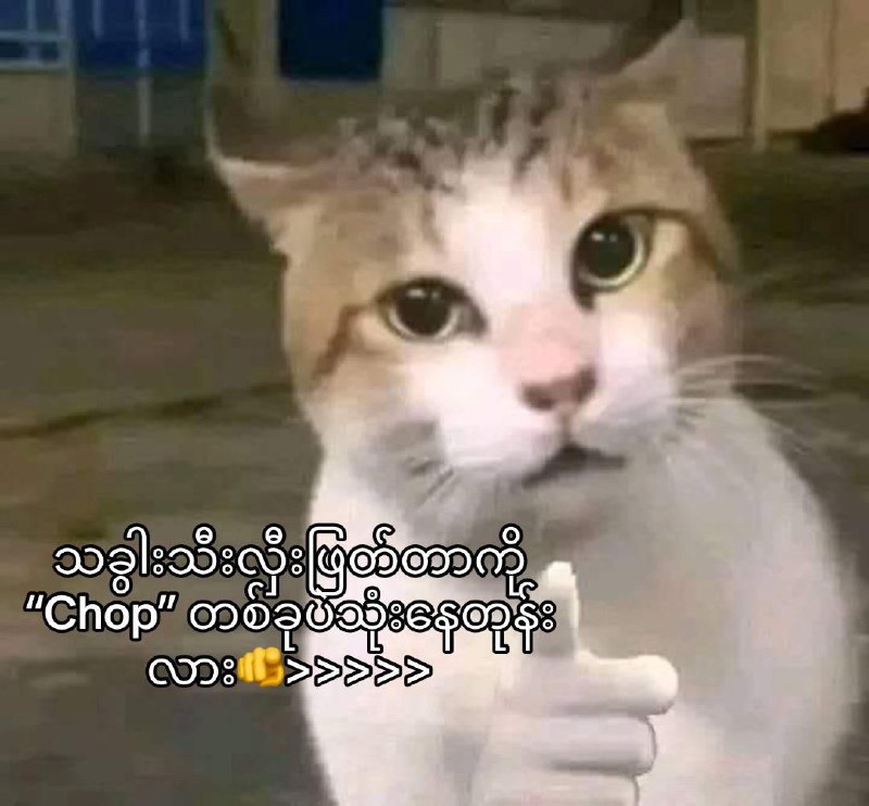 [#??](?q=%23%F0%9D%90%89%F0%9D%90%8A)