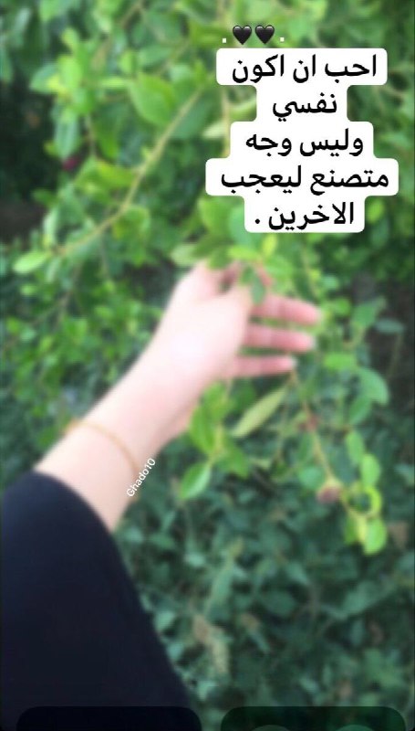 بقايا 🦋حنۣۗہيۣۗہنۣۗہ😿