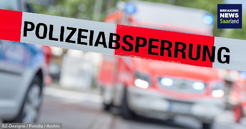 Saararchiv der Sammelbewegung Freies Saarland (SFS)