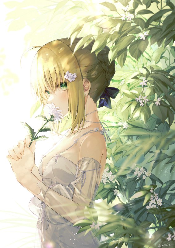 Artoria's Garden