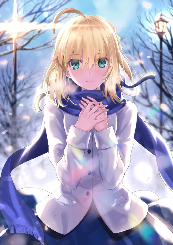 Saber's winter dream