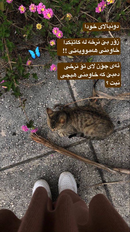 ᷂سەدای ᷂باوەڕ🩵.