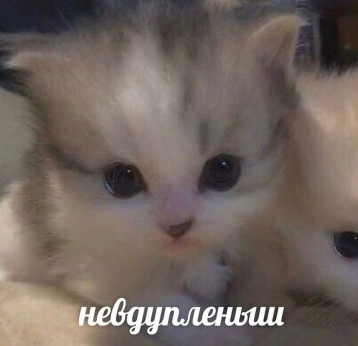 Доброе утро, так сказать.