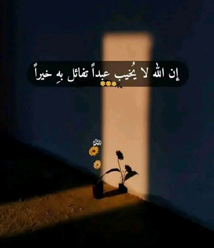 **‏جميل هو ذاك الأمل الذي يخبرك …