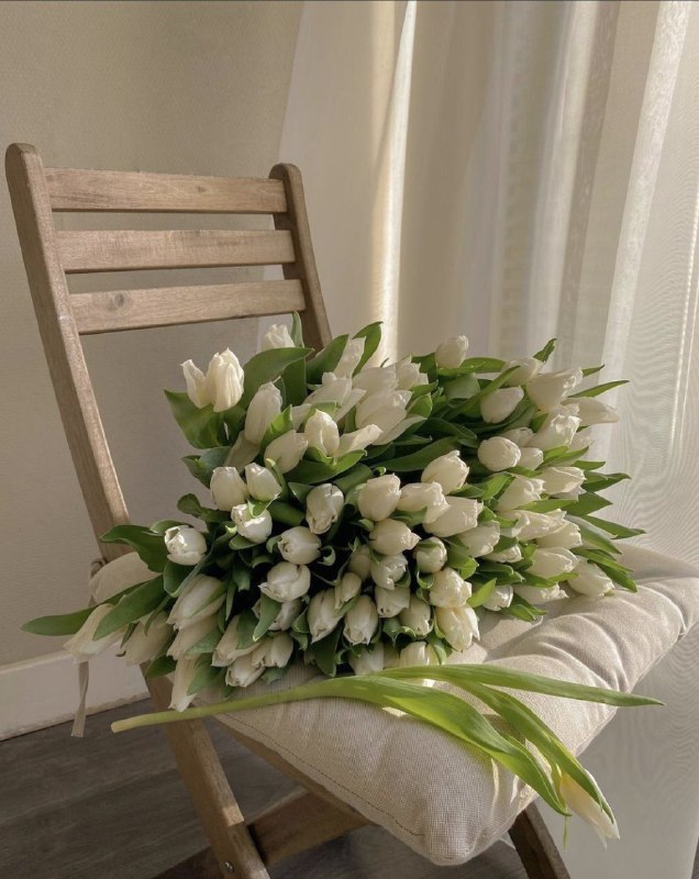 **٥ / ديسمبر / ٢٠٢٤