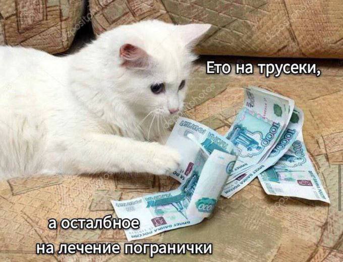 Добровое! Скучали? ***🐈***