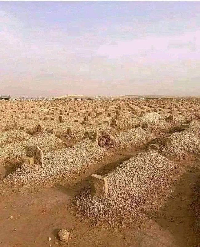 **این خانه ها بدون استثناء و …