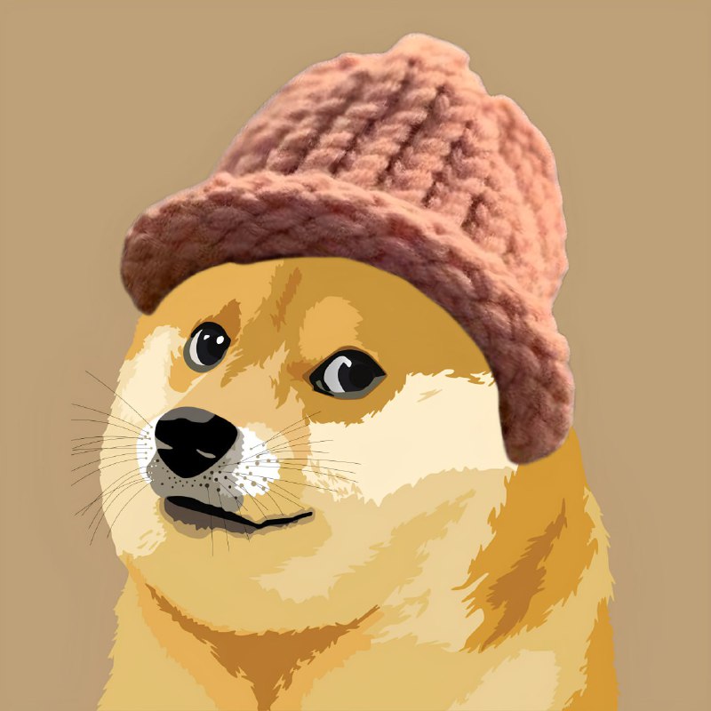 Doge Wif Hat $DWH