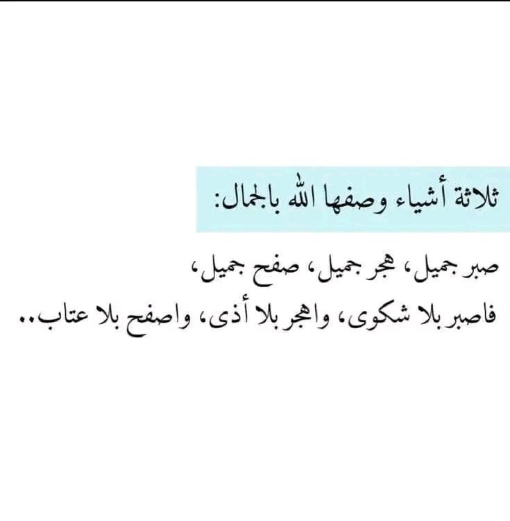 فوضى الحبر "هبة القدر "