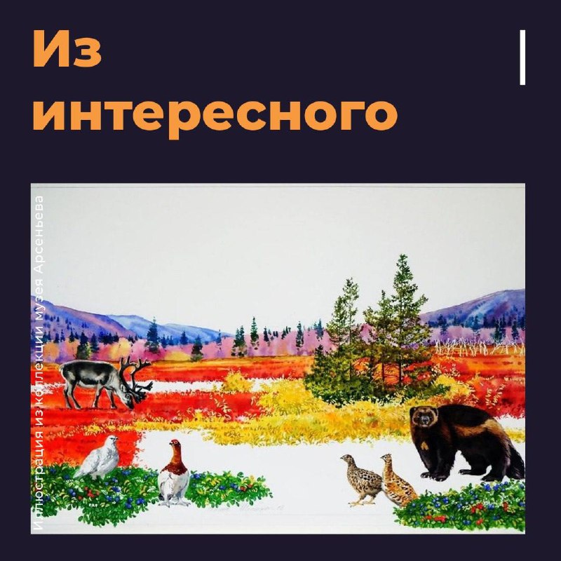 **9 ноября (суббота):**