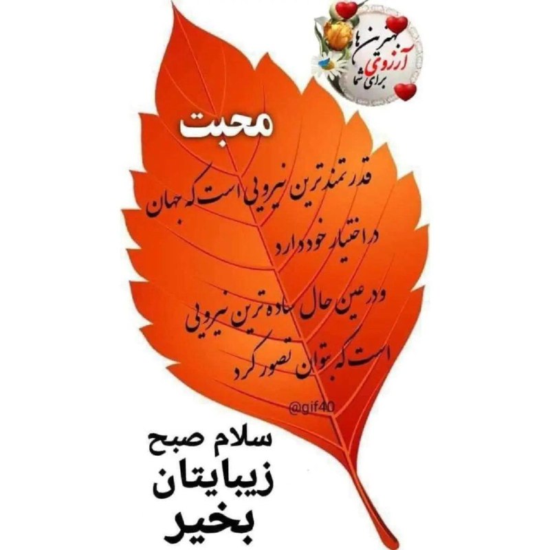 ***?***در این صبحِ تماشاییِ پاییز...