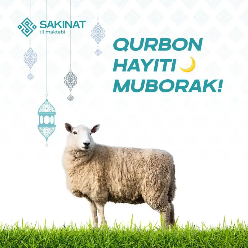 Qurbon hayiti bayrami muborak boʻlsin!