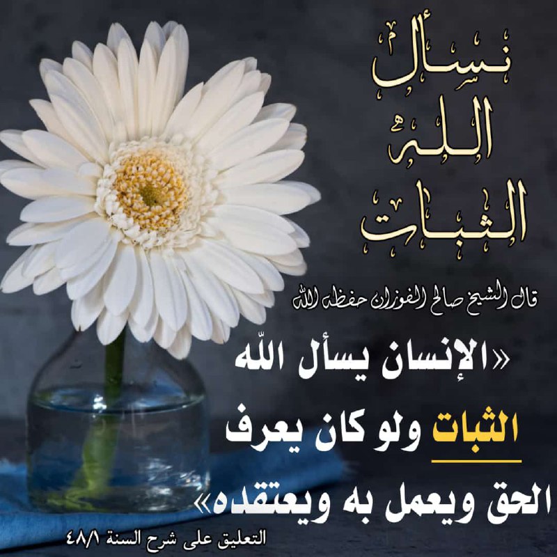 ✿روضة العقلاء ونزهة الفضلاء✿